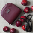 Small crossbody bag "DINA" in smooth leather, bordeaux colour - nature morte